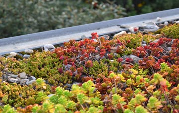 the cost of Black Bank green roof installation