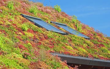 Black Bank living roof systems