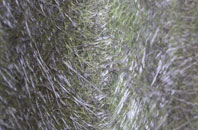 Black Bank fibreglass roof work